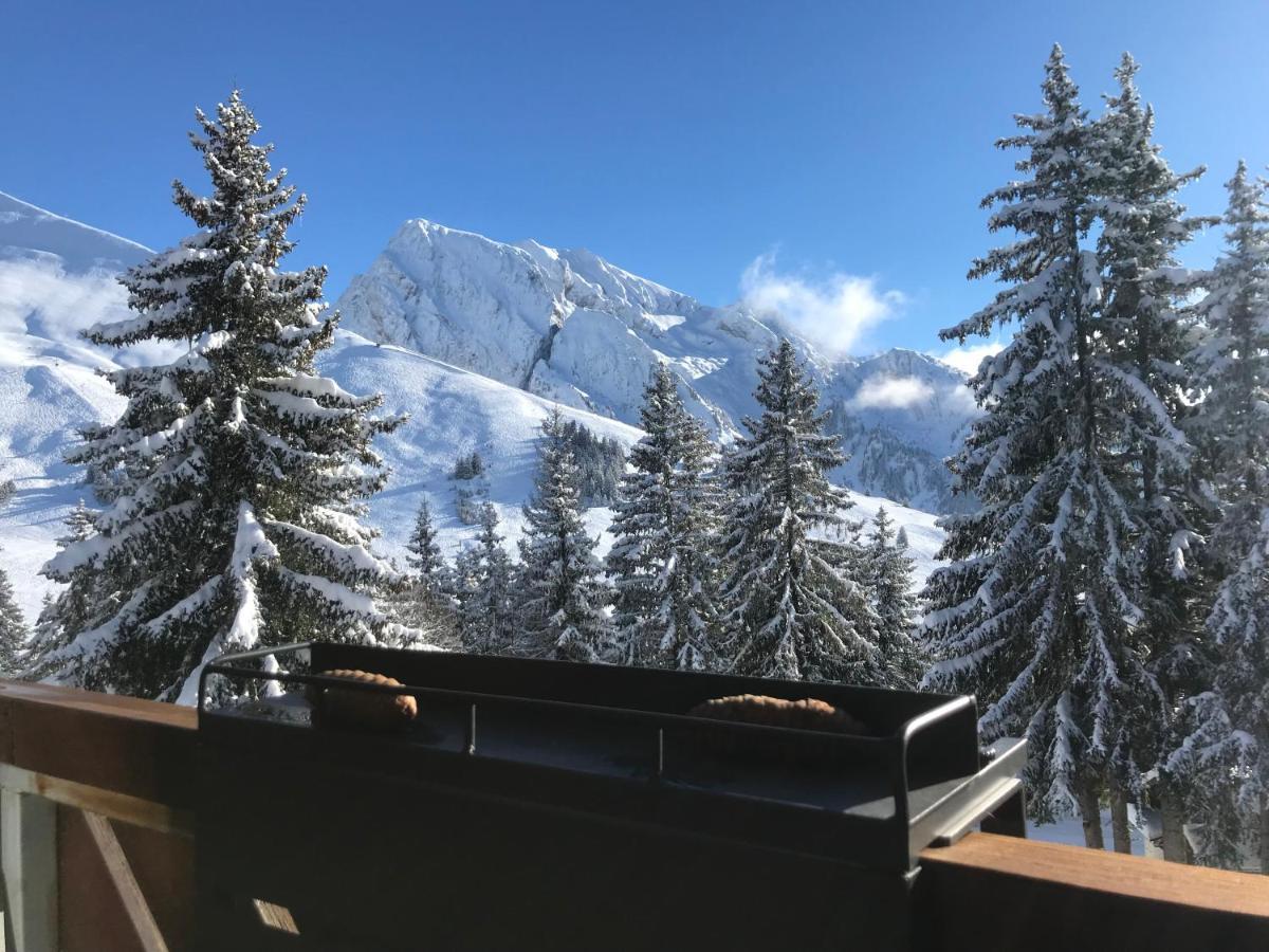 Appartement T2 Col De Merdassier Au Pied Des Pistes Manigod Buitenkant foto